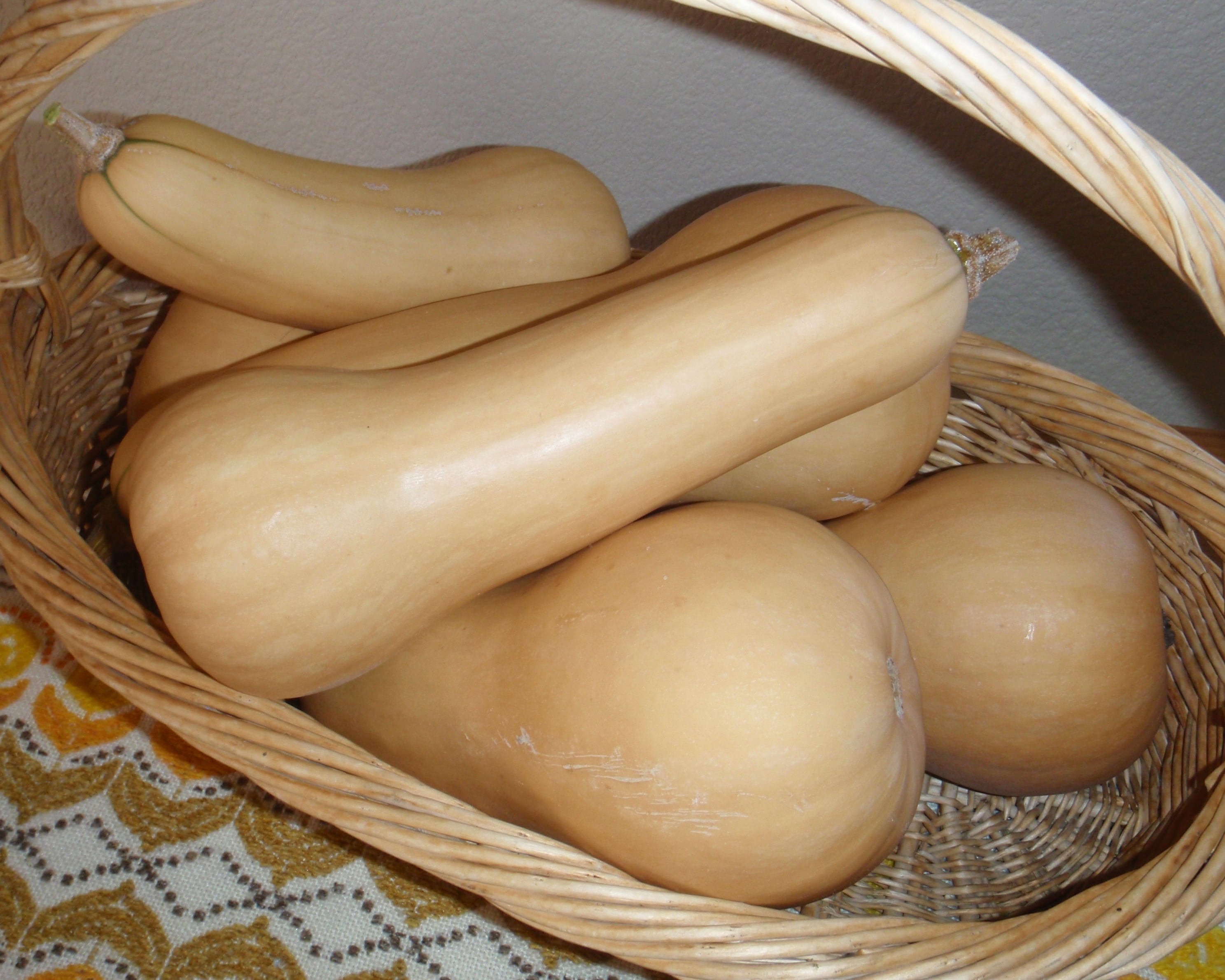 Butternut Squash, Connie Cockrell