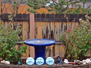 February, Rain, Birdbath, Arizona, Connie Cockrell
