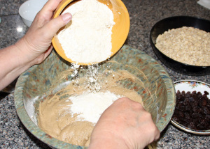 Flour, salt, cinnamon, Xantham Gum, and baking soda