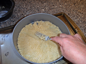Crumbs in Springform Pan